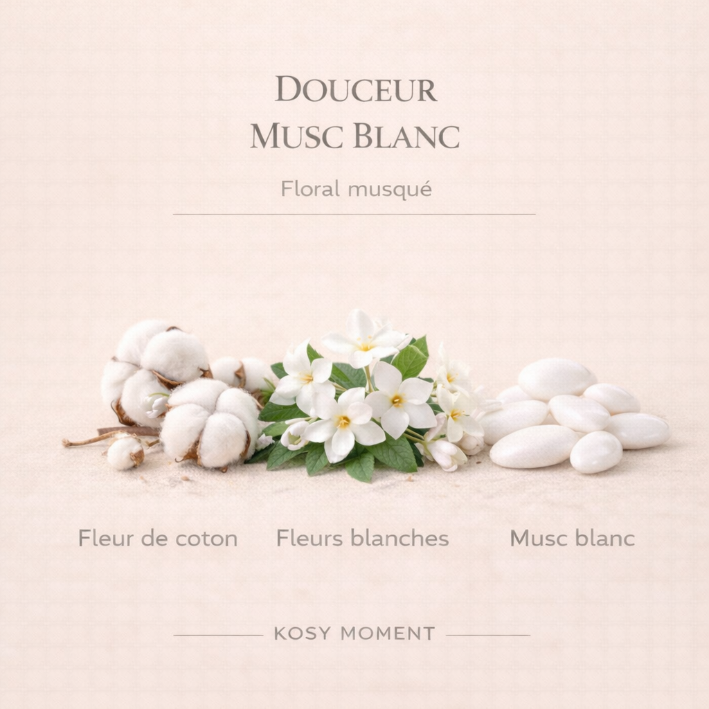 ASSORTIMENT 6 FONDANTS PARFUMÉS