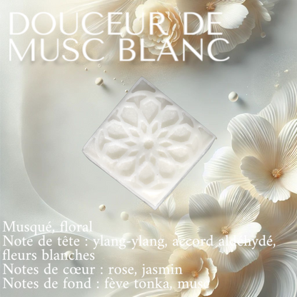 ASSORTIMENT 3 FONDANTS PARFUMÉS