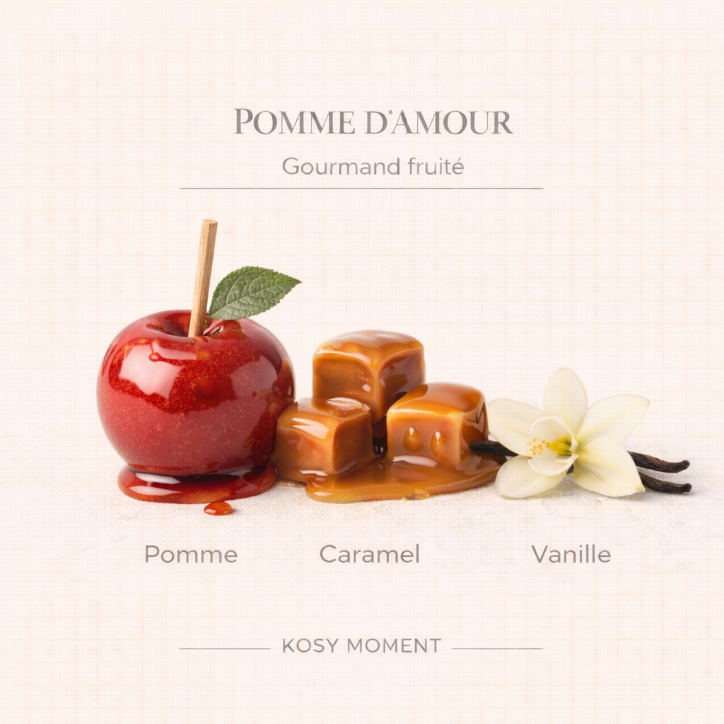 ASSORTIMENT 6 FONDANTS PARFUMÉS
