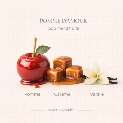ASSORTIMENT 6 FONDANTS PARFUMÉS