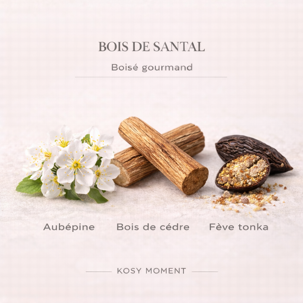 ASSORTIMENT 6 FONDANTS PARFUMÉS