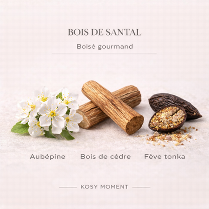ASSORTIMENT 6 FONDANTS PARFUMÉS